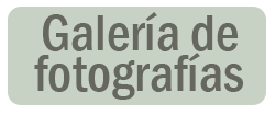Galeria de Fotografias